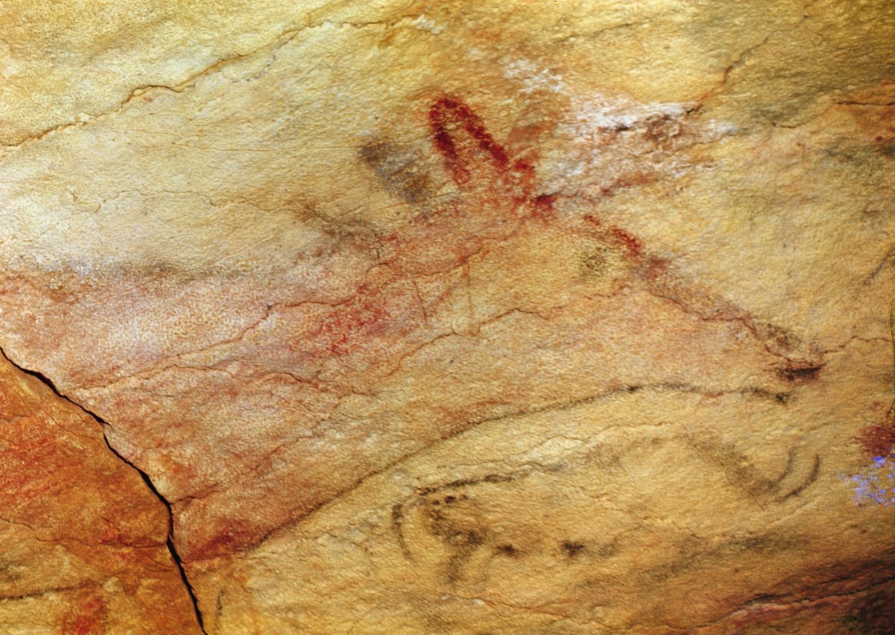 Hert uit de Grotten van Altamira, ca. 15.000 v.Chr. (detail) door Prehistoric