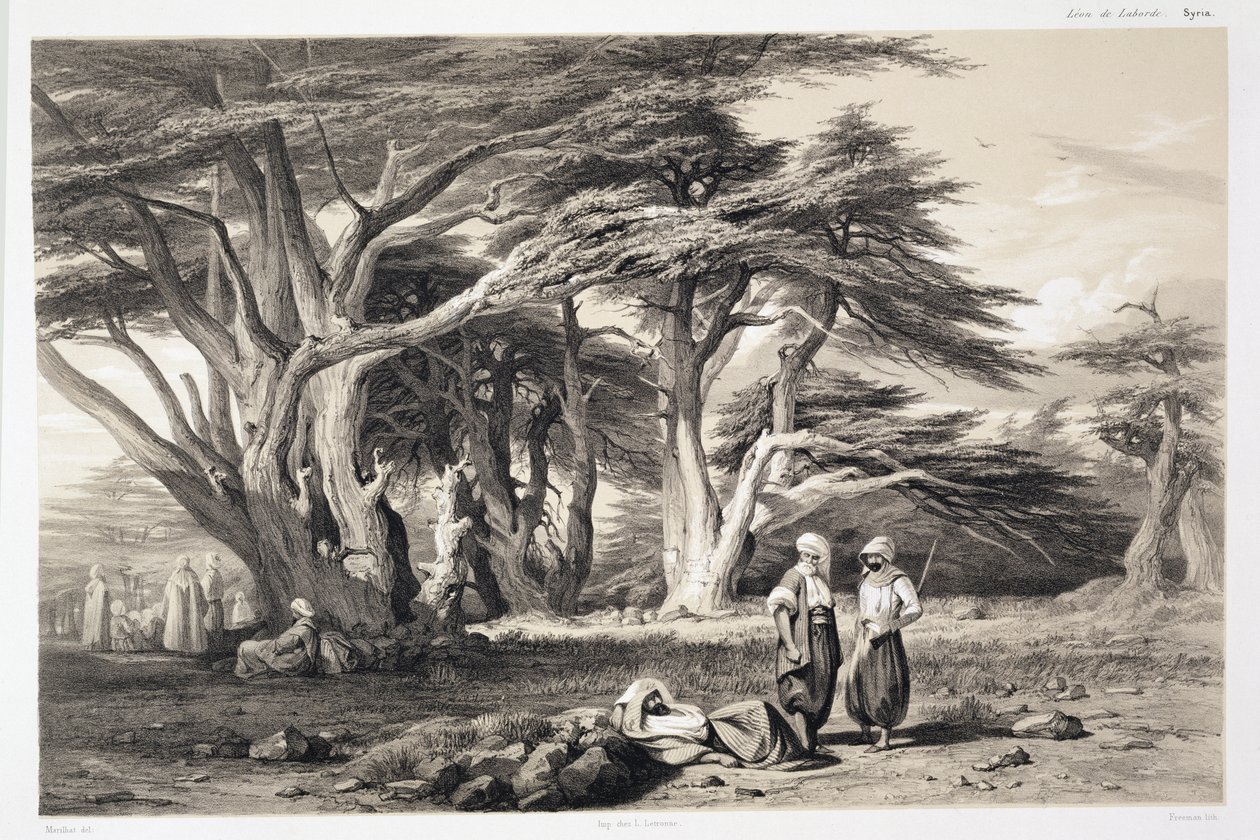 De ceders van Libanon, gegraveerd door Freeman door Prosper Georges Antoine Marilhat