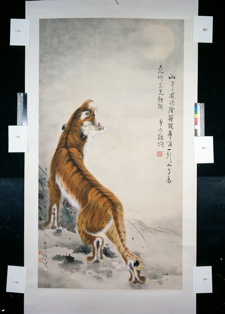 Tijger door Qifeng Gao