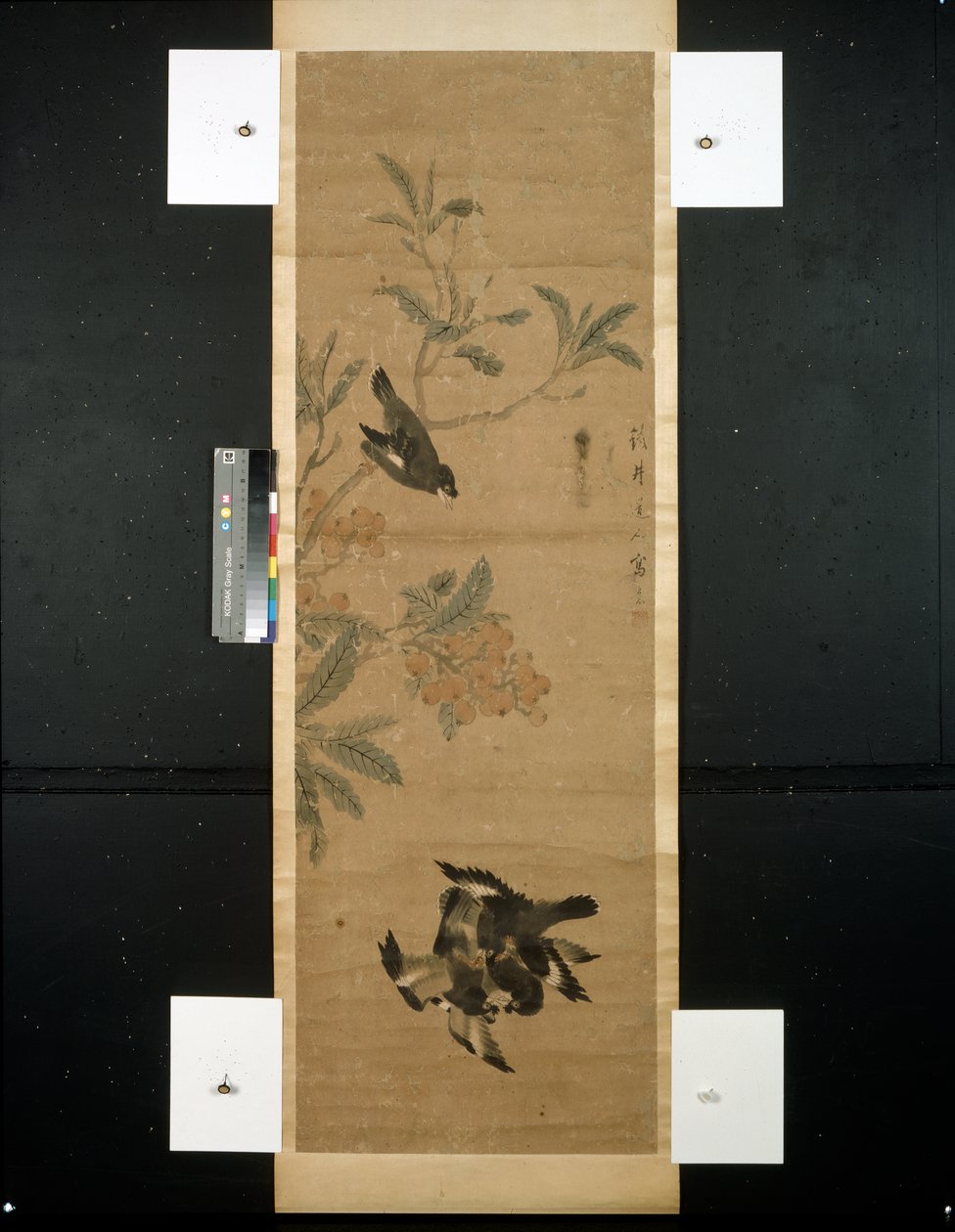 Vogels en tak door Qing Dynasty Chinese School