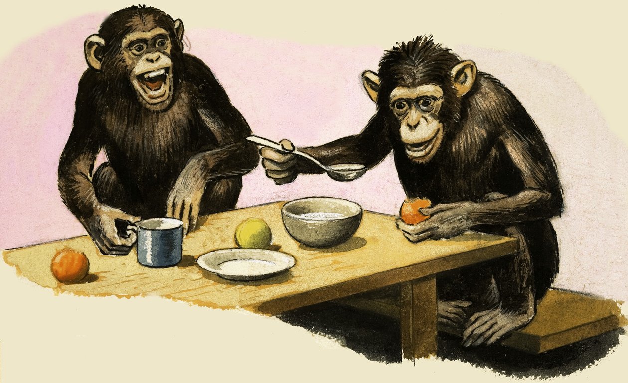 Z voor dierentuin. Chimpansee