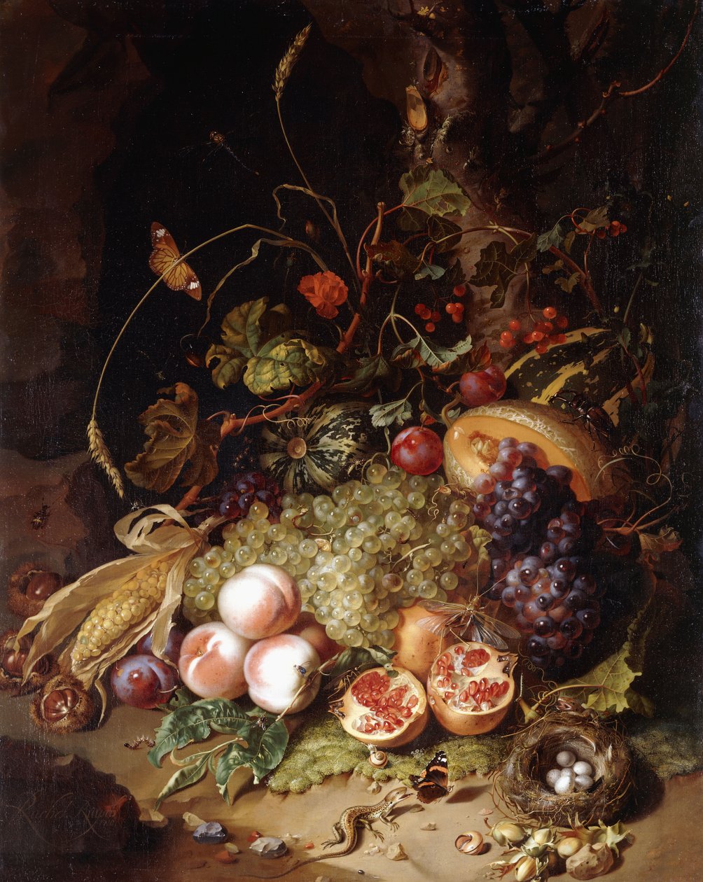 Stilleven met fruit en insecten door Rachel Ruysch