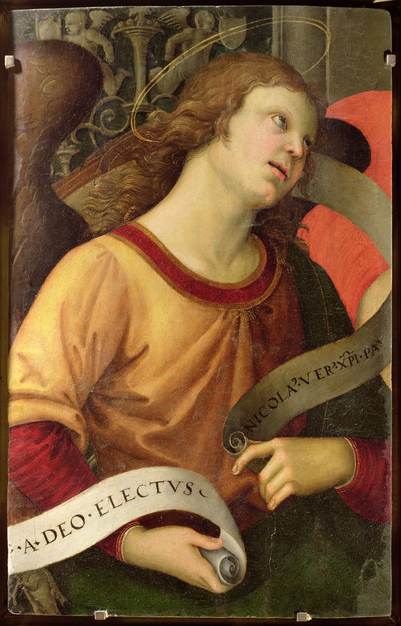 Engel, van het polyptiek van St. Nicolas van Tolentino, 1501 door Raffaello Sanzio Raphael