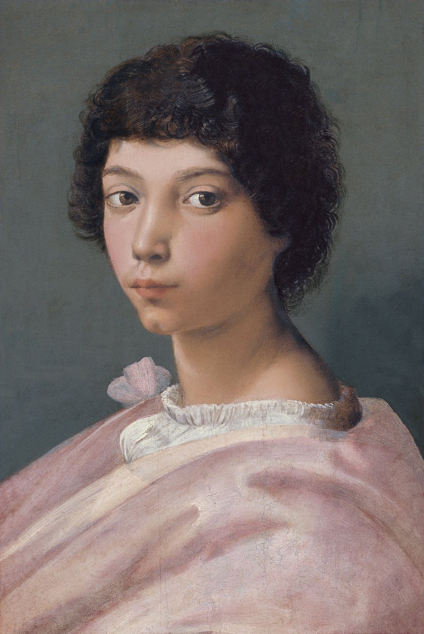 Portret van een jonge man door Raffaello Sanzio Raphael