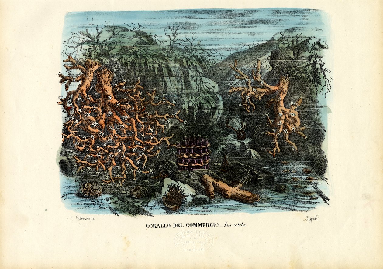 Koraal, 1863-79 door Raimundo Petraroja