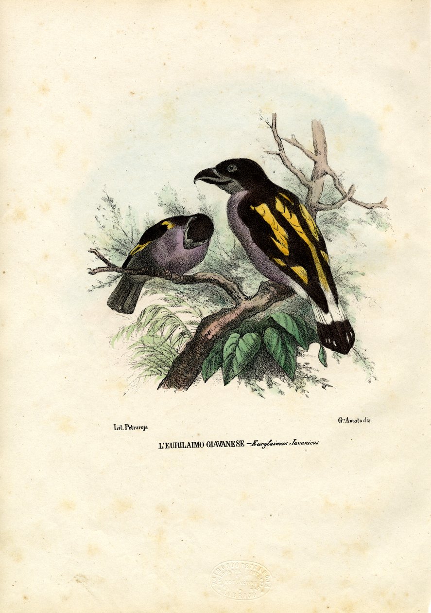 Breedbekken, 1863-79 door Raimundo Petraroja