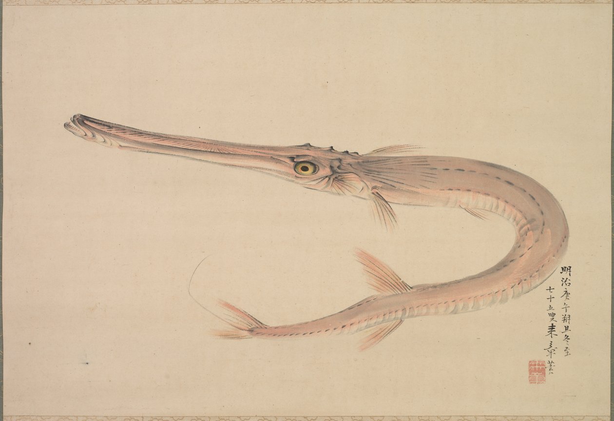 Naaldvis Yagara, 1870 door Raisho Nakajima