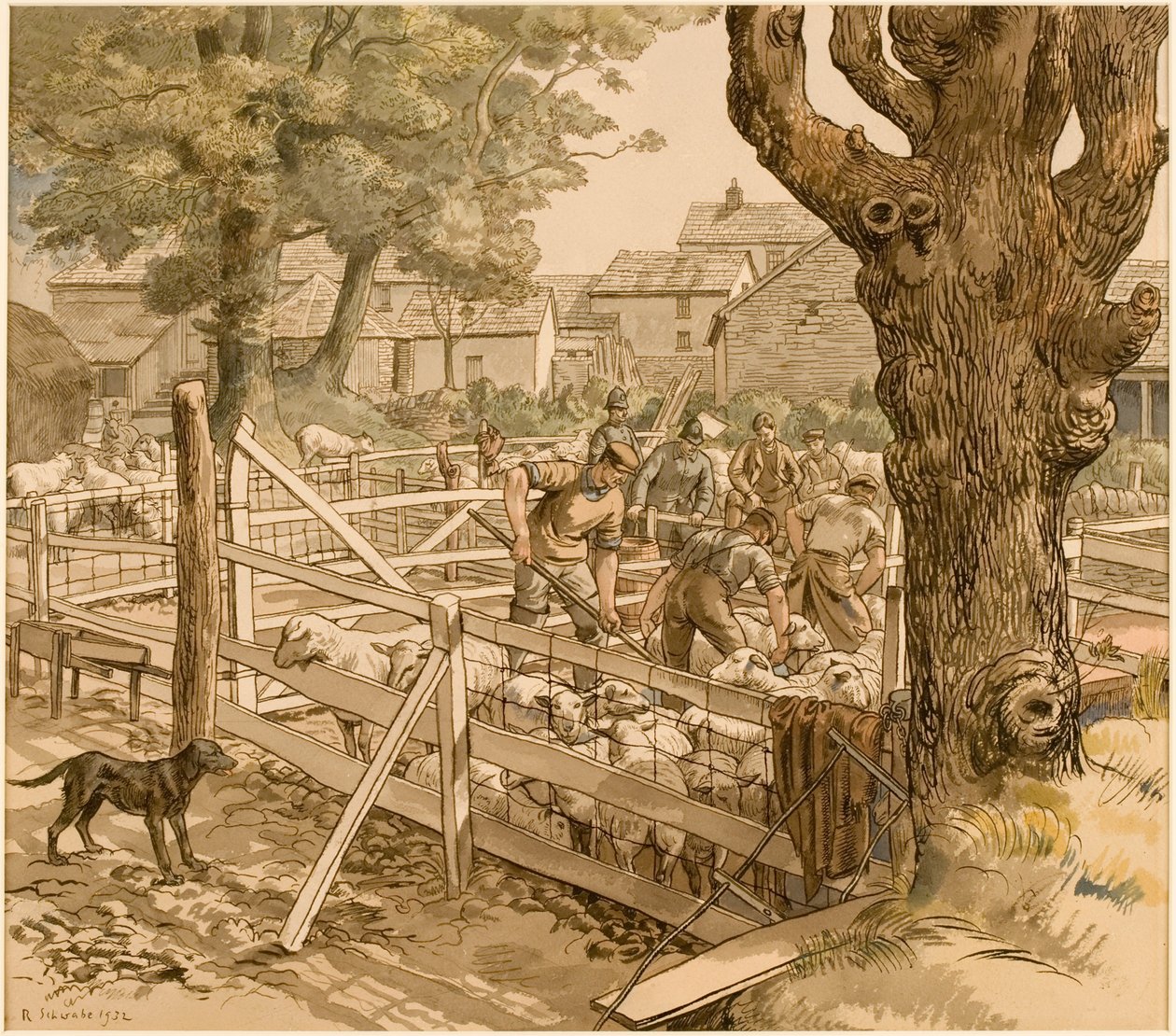 Schapen dopen in Cornwall door Randolph Schwabe