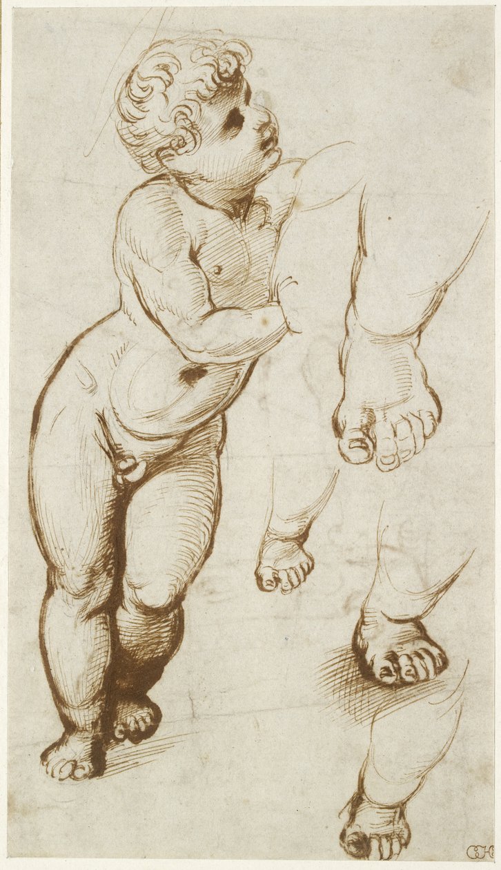 De jonge Christus en andere studies door Raffaello Sanzio Raphael