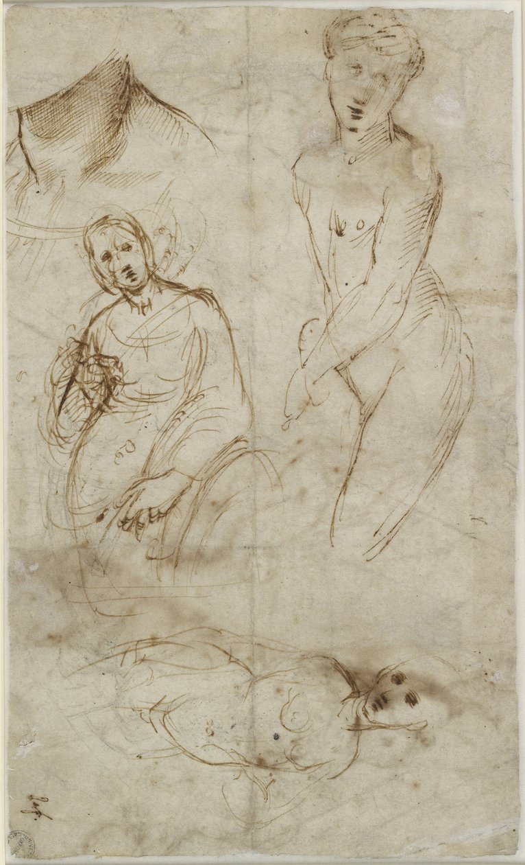 Verschillende Studies door Raffaello Sanzio Raphael