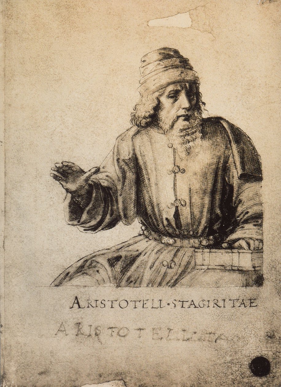 Aristoteles door Raffaello Sanzio Raphael