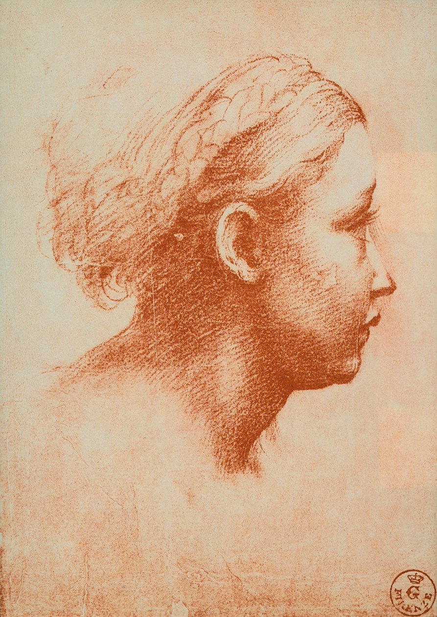 Vrouwelijk hoofd in profiel, tekening door Raphael. Gabinetto dei Disegni e delle Stampe, Uffizi, Florence door Raffaello Sanzio Raphael