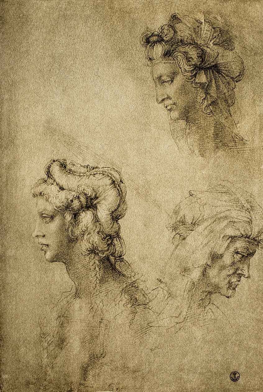 Studie van vrouwelijke hoofden, tekening door Raphael door Raffaello Sanzio Raphael