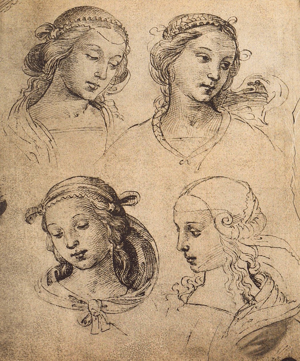 Studie van vier vrouwelijke gezichten; tekening door Raphael door Raffaello Sanzio Raphael