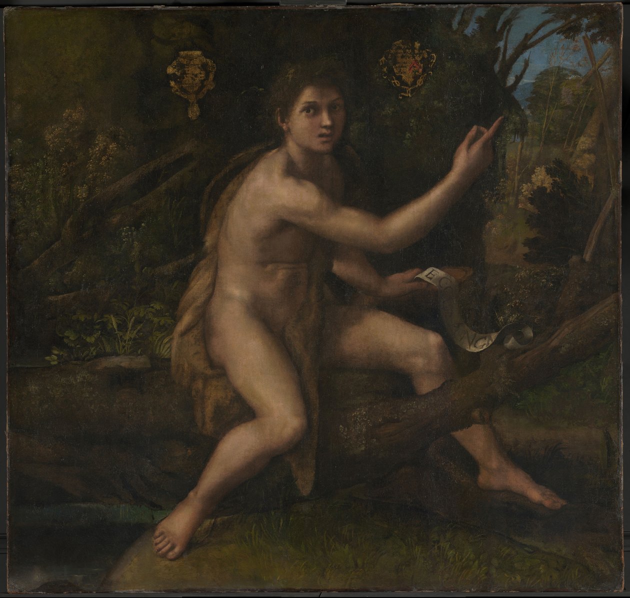 Sint Jan de Doper door Raphael (1483 1520)
