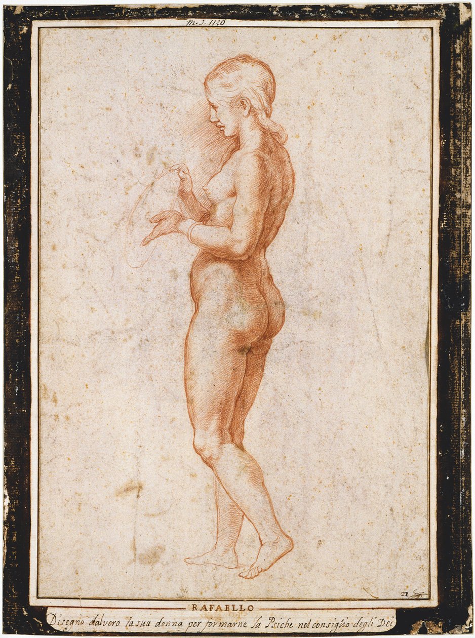 Jonge vrouwelijke figuur in profiel, ca. 1517 door Raphael