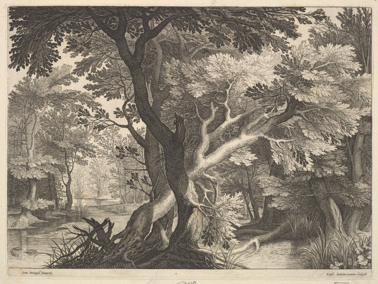 Bosrijk landschap door Raphael Sadeler