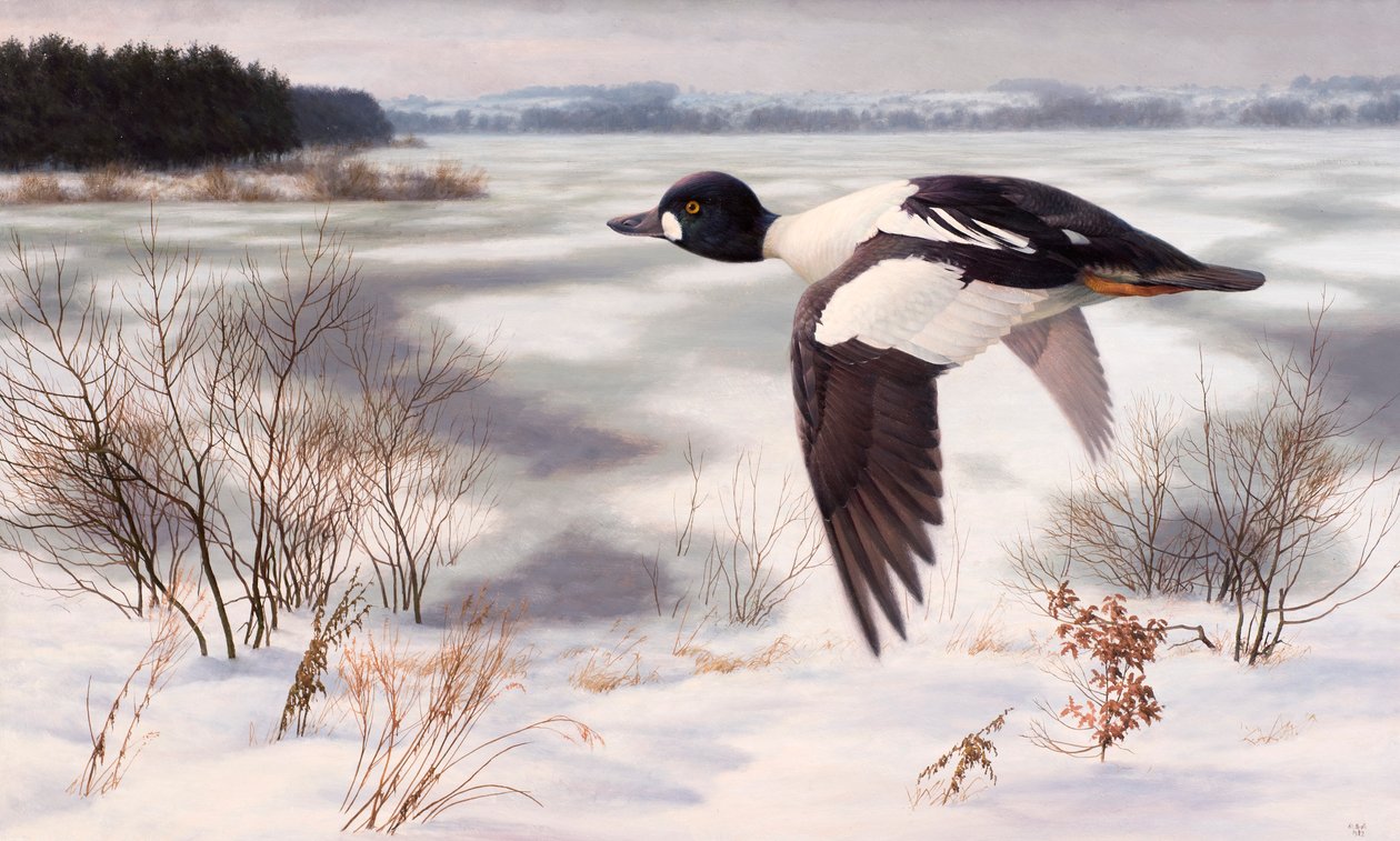 Gulden in een winterlandschap door Raymond Booth
