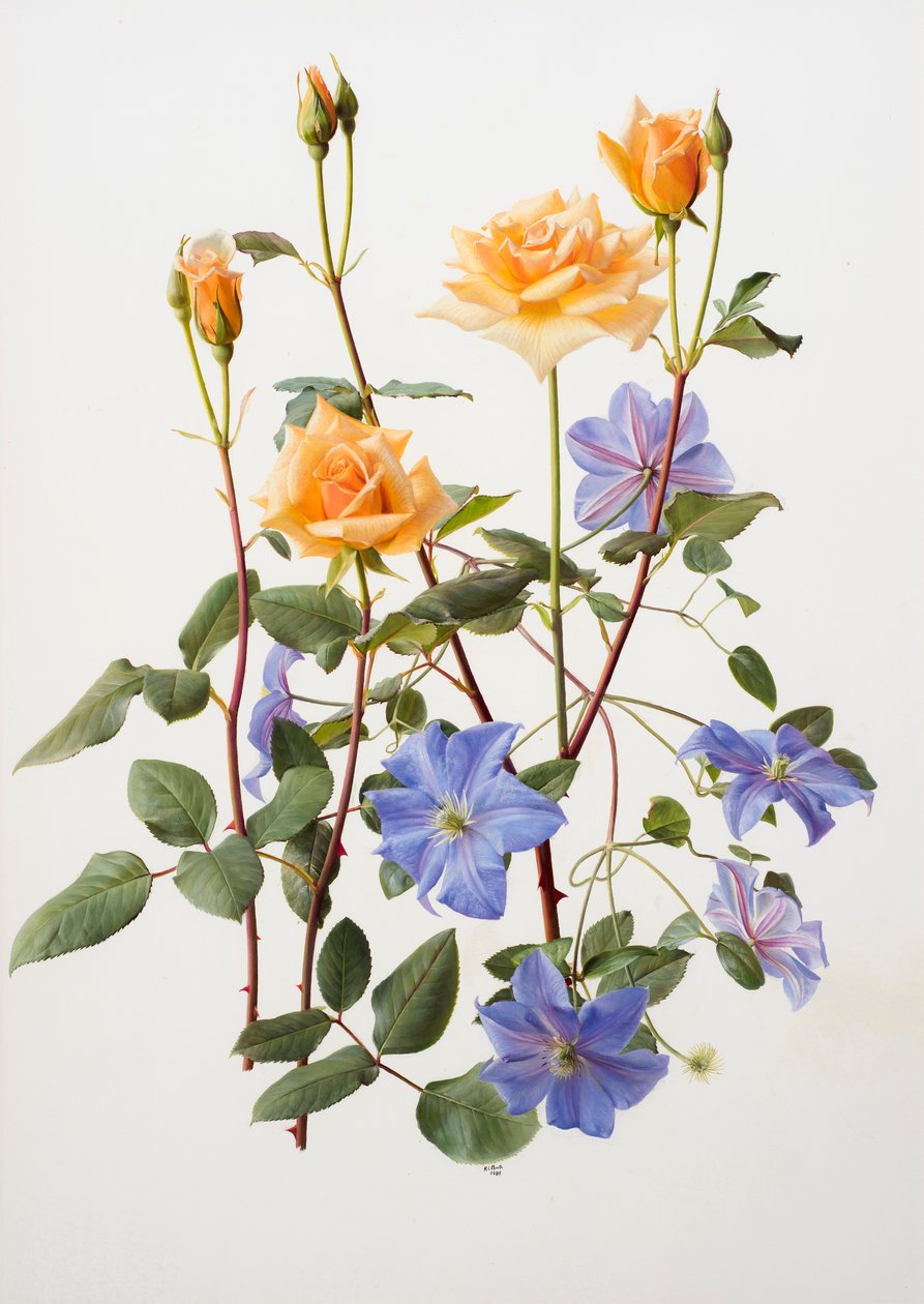 Roos en clematis door Raymond Booth