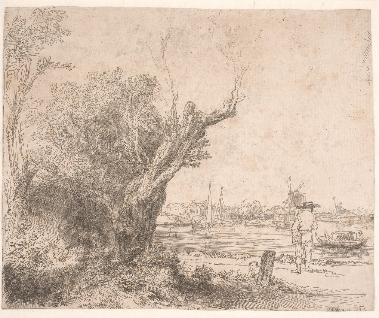 Landschap. 