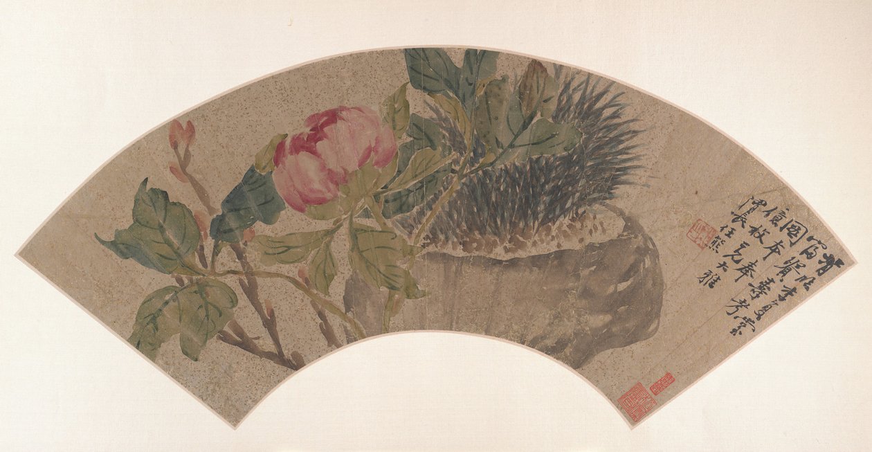 Pioenroos door Ren Xiong