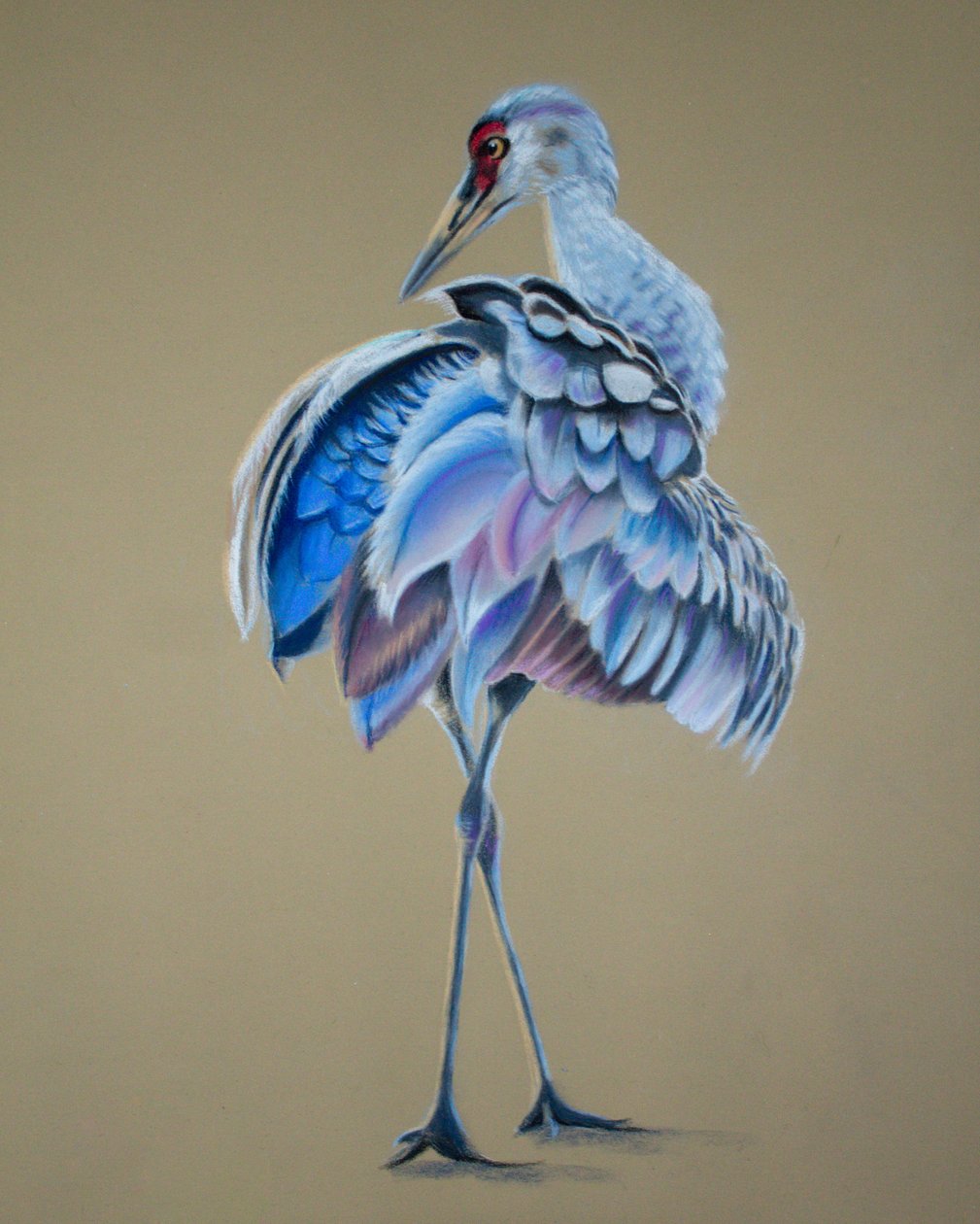 Kraanvogel door Renate Dohr