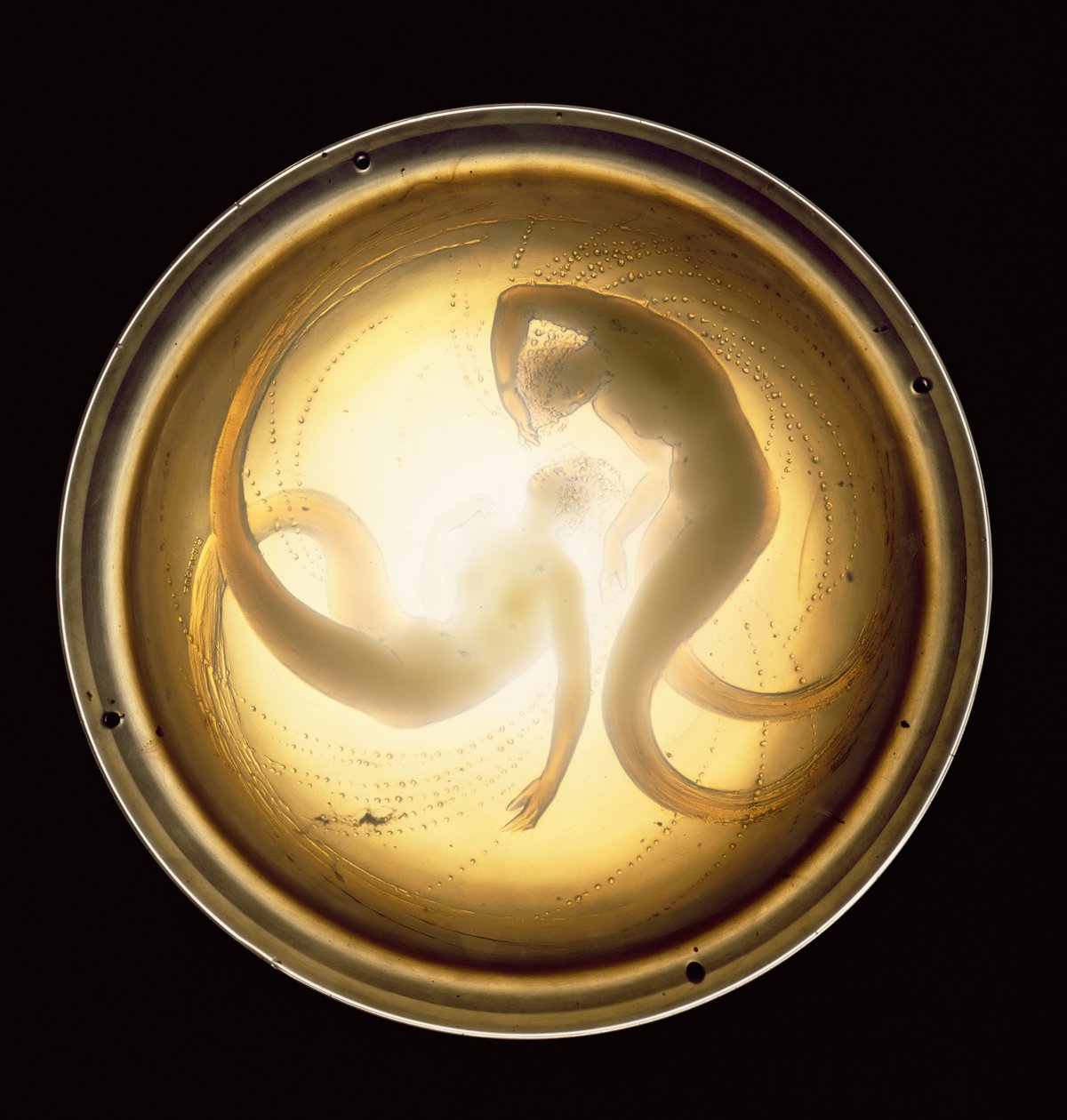 Deux Sirenes Plafonnier door Rene Jules Lalique
