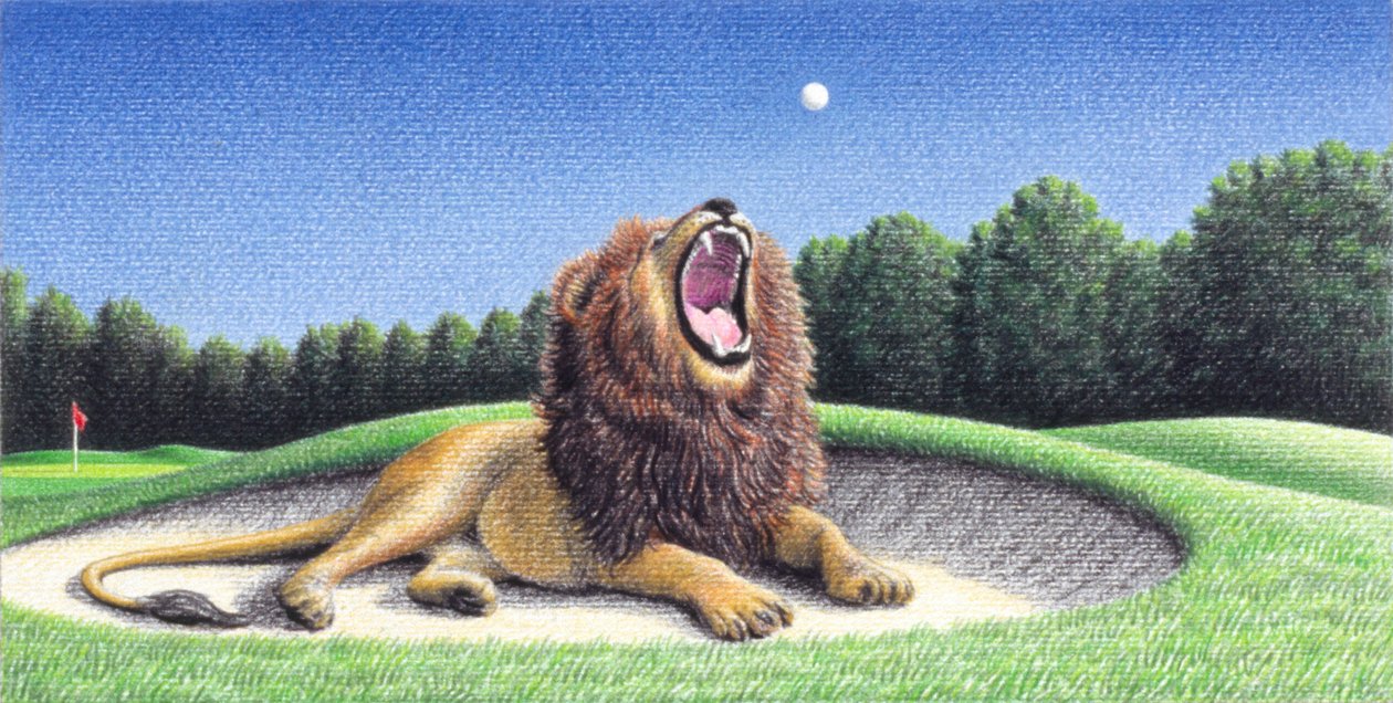 Leeuw 3 door Rene Boin
