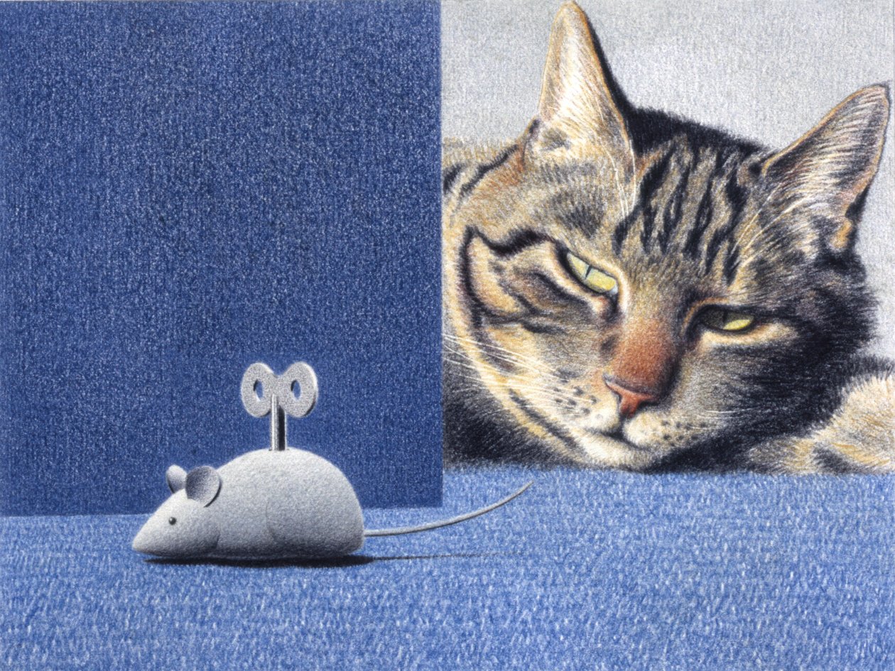 Muis door Rene Boin
