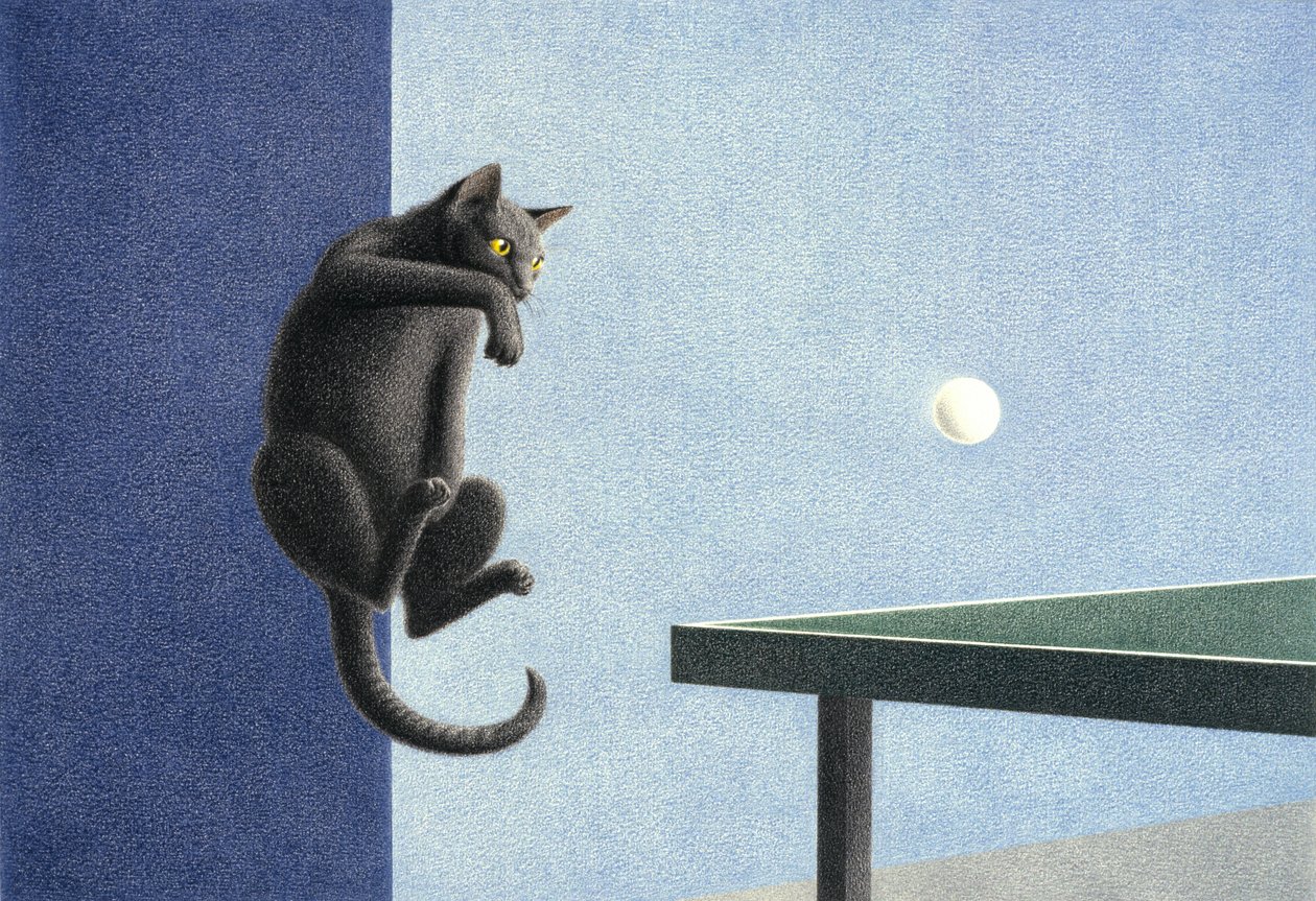 Pingpong door Rene Boin