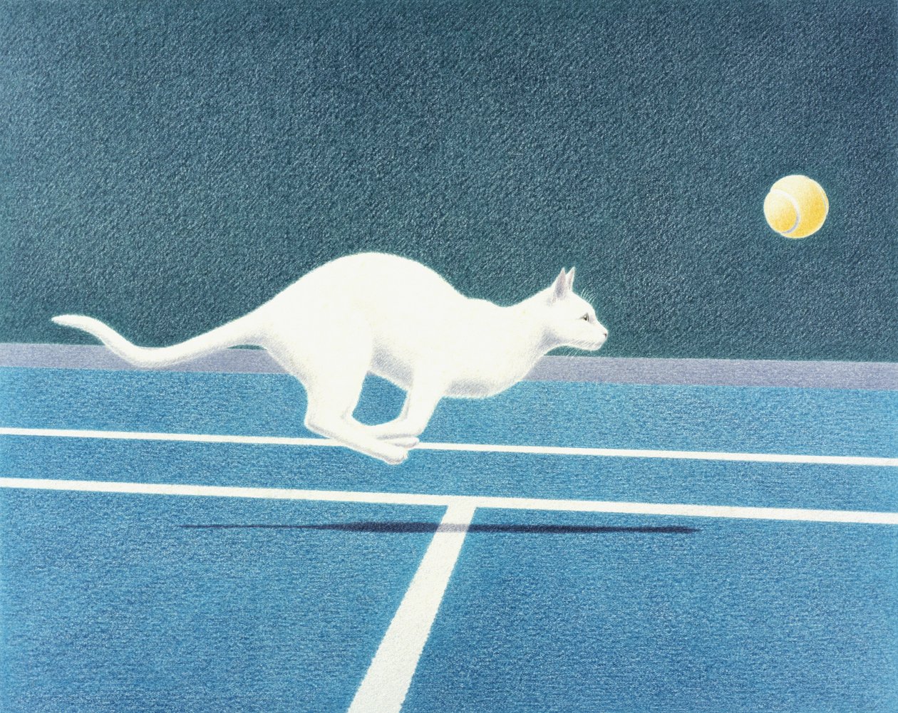 Tennis door Rene Boin
