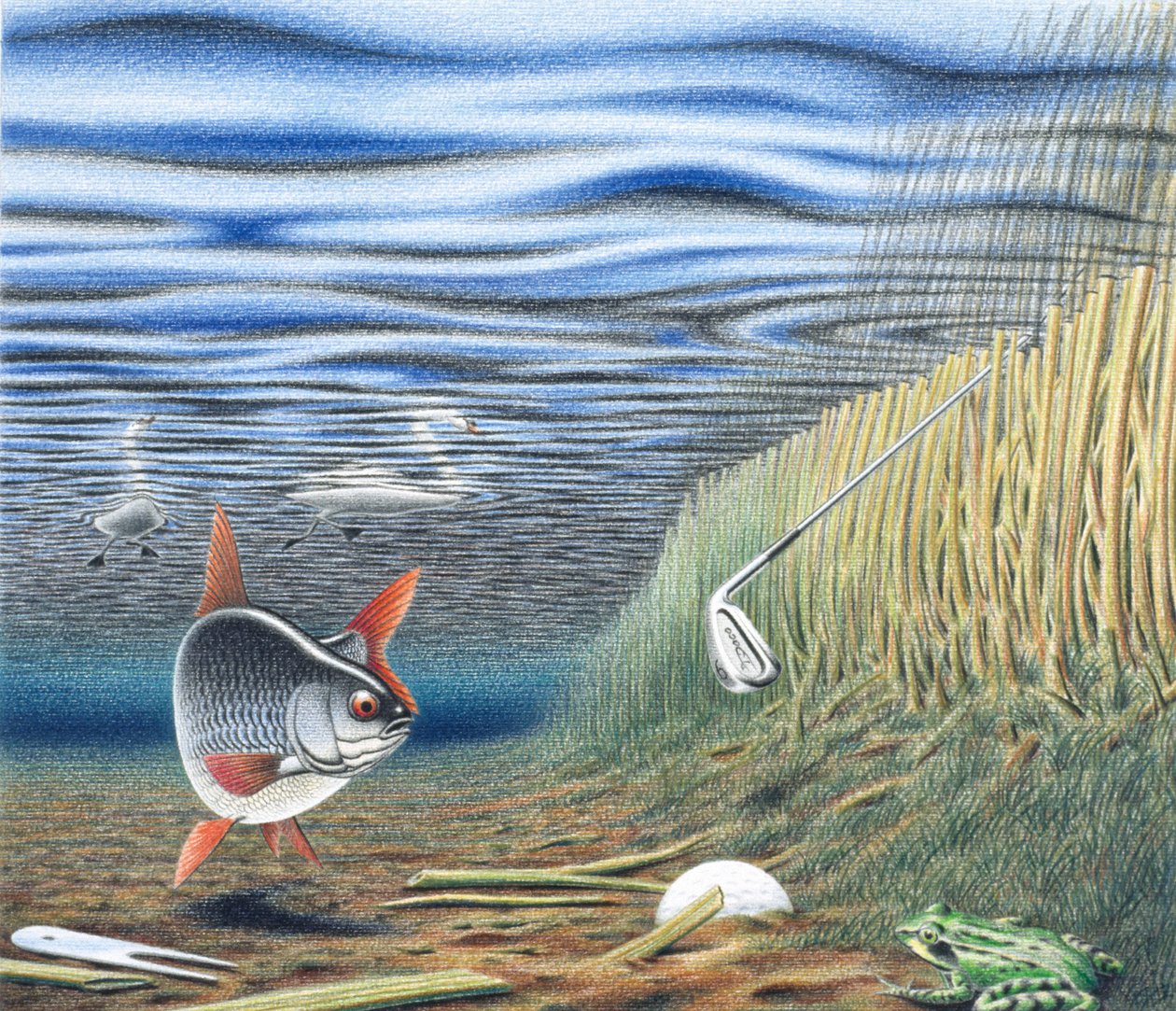 Waterhindernis door Rene Boin