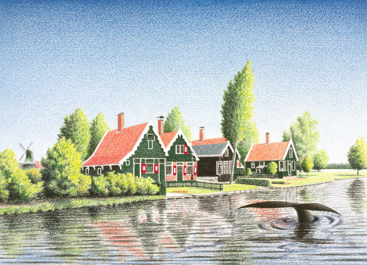 Walvis door Rene Boin
