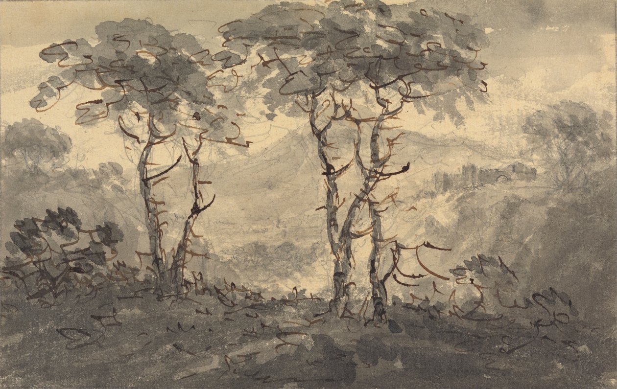 Dennenbomen in een Berglandschap door Rev. William Gilpin