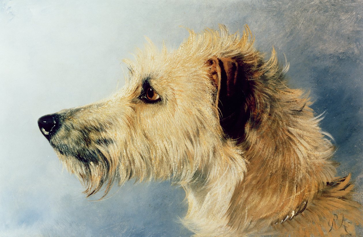 Hoofd van een hond door Richard Ansdell