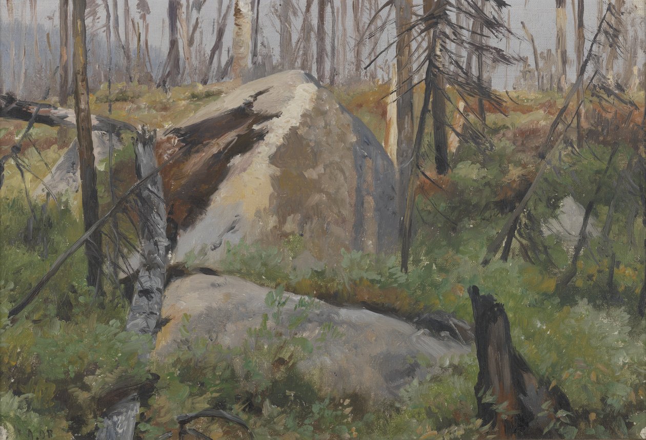 Dood Bos in Canada door Richard Friese