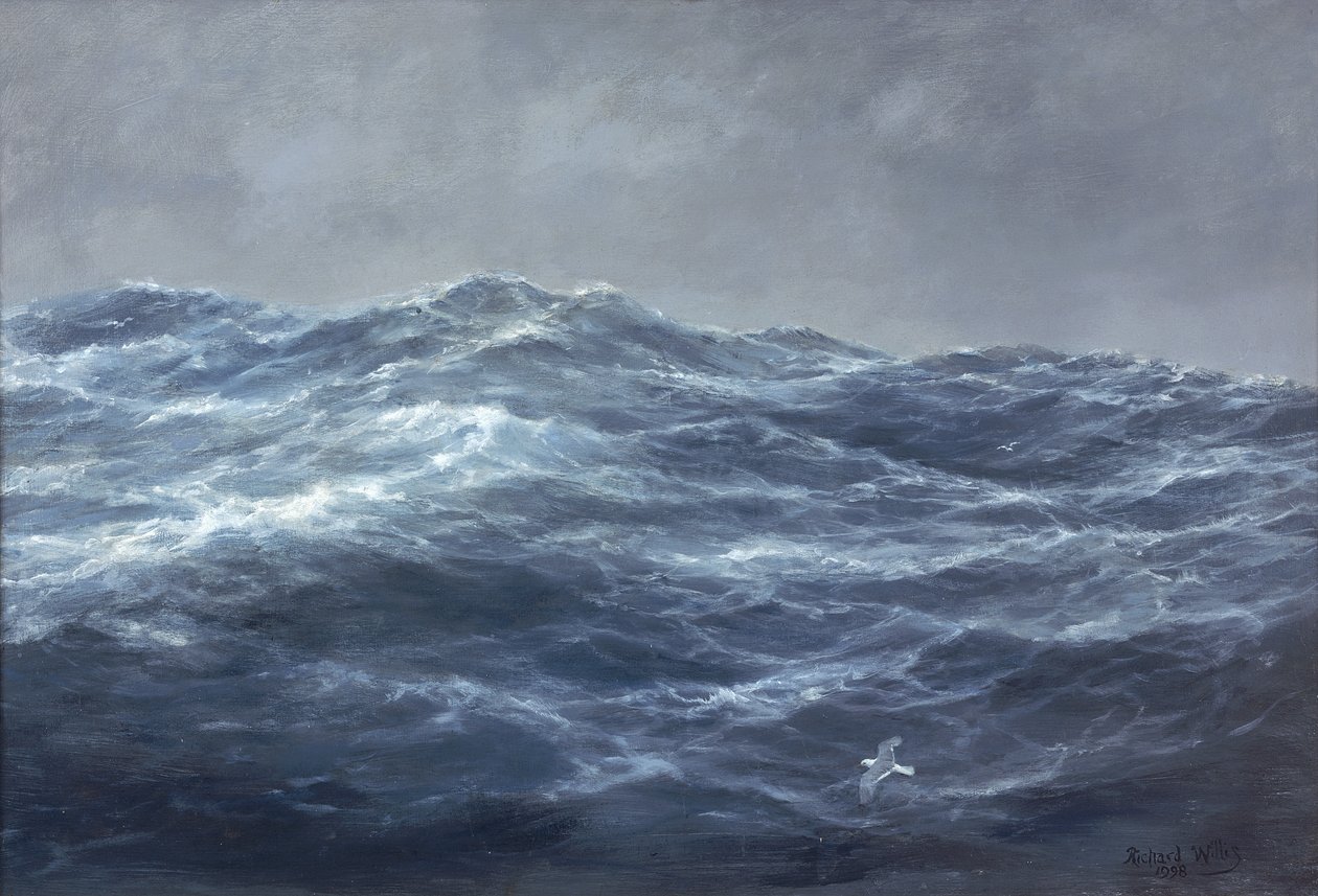 De weg van de meeuw door Richard Willis