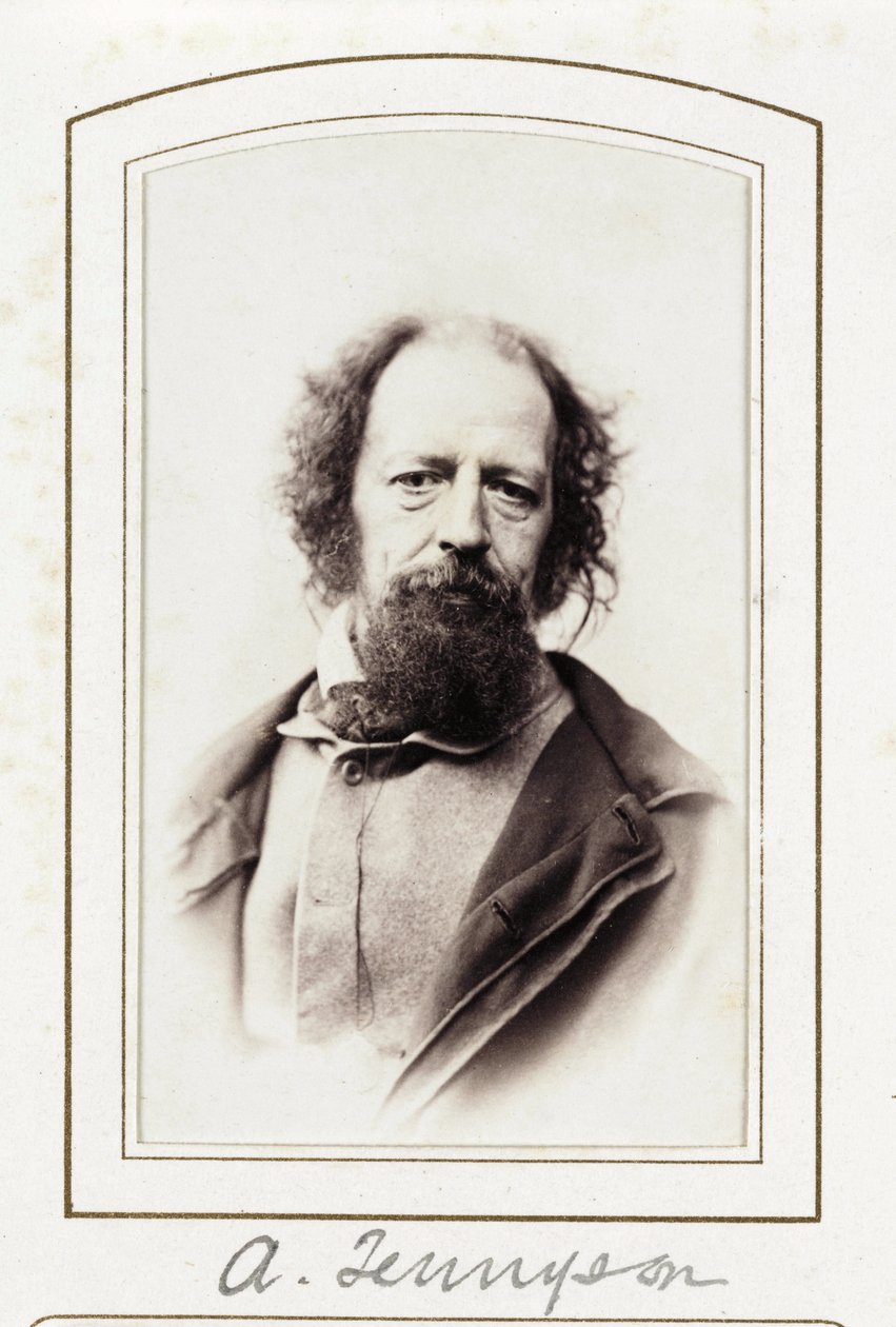Een Tennyson, ca. 1864 door John Pardon