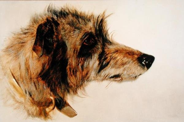 Hoofd van een hond door Richard Ansdell