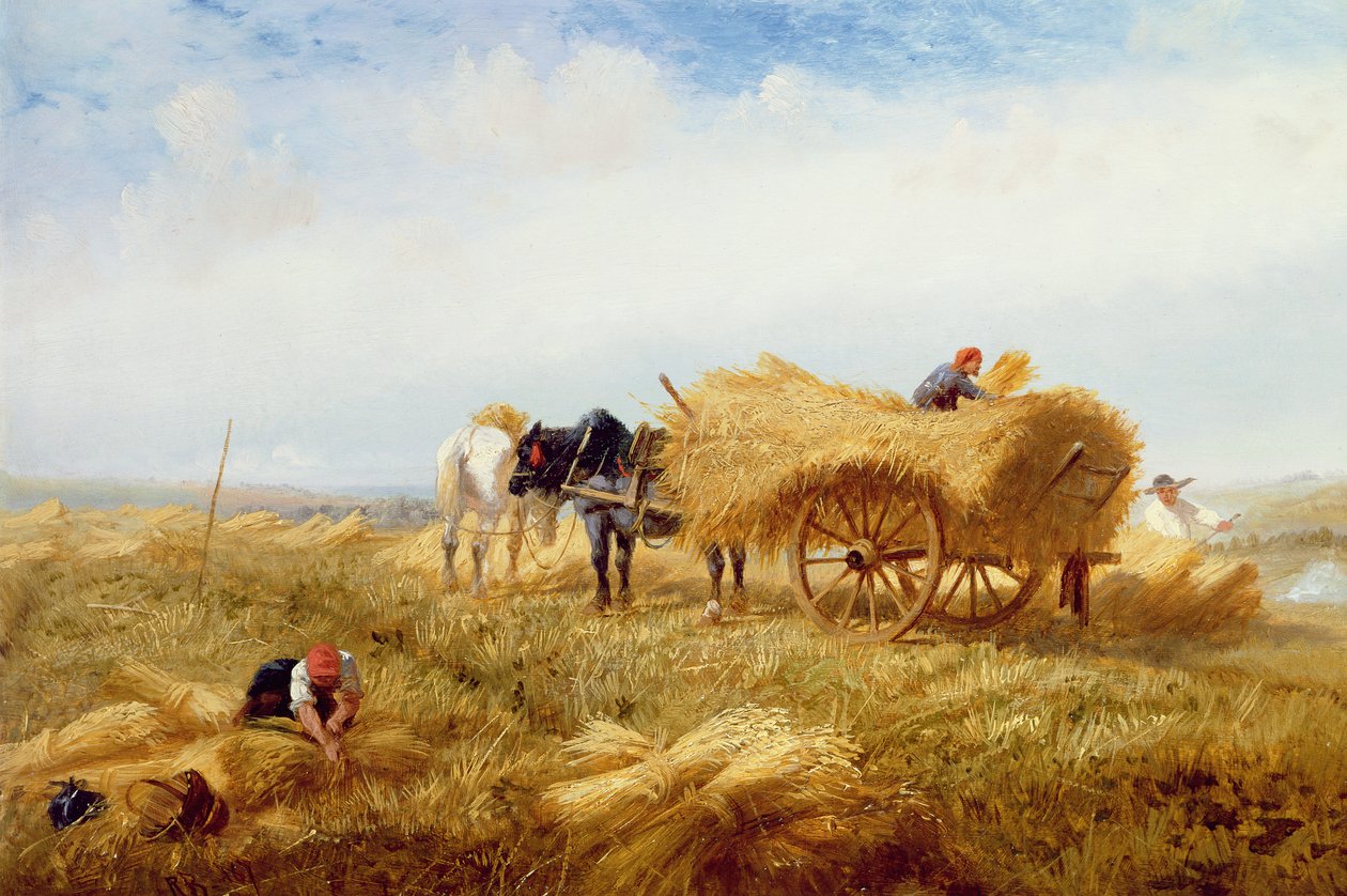 Oogsten, nabij Boulogne-sur-Mer door Richard Beavis