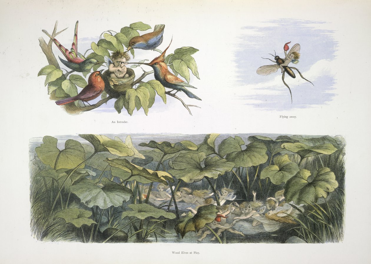 Elfen door Richard Doyle
