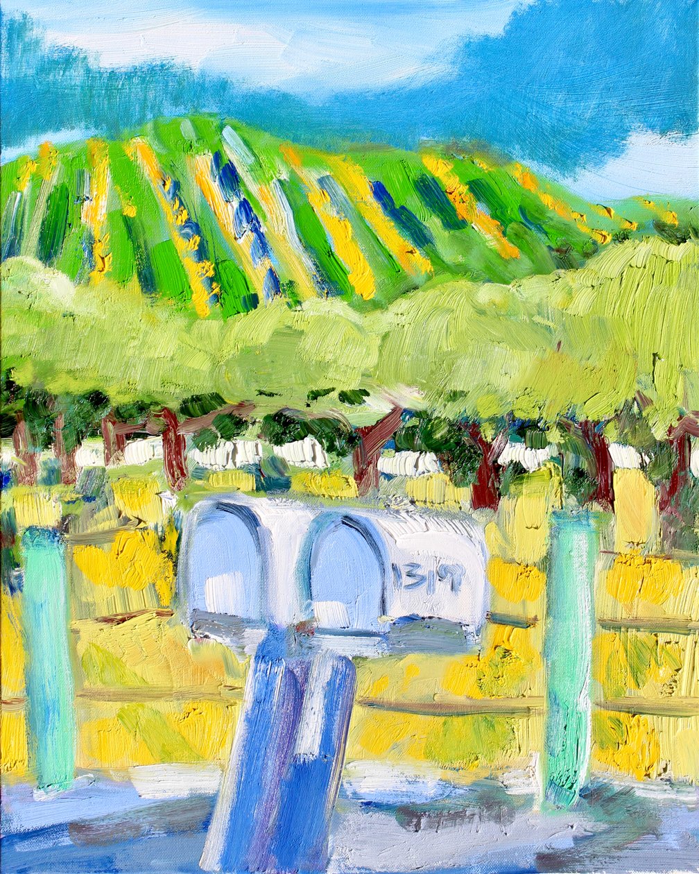 Brievenbussen en wijngaard, Napa, 2019 door Richard Fox