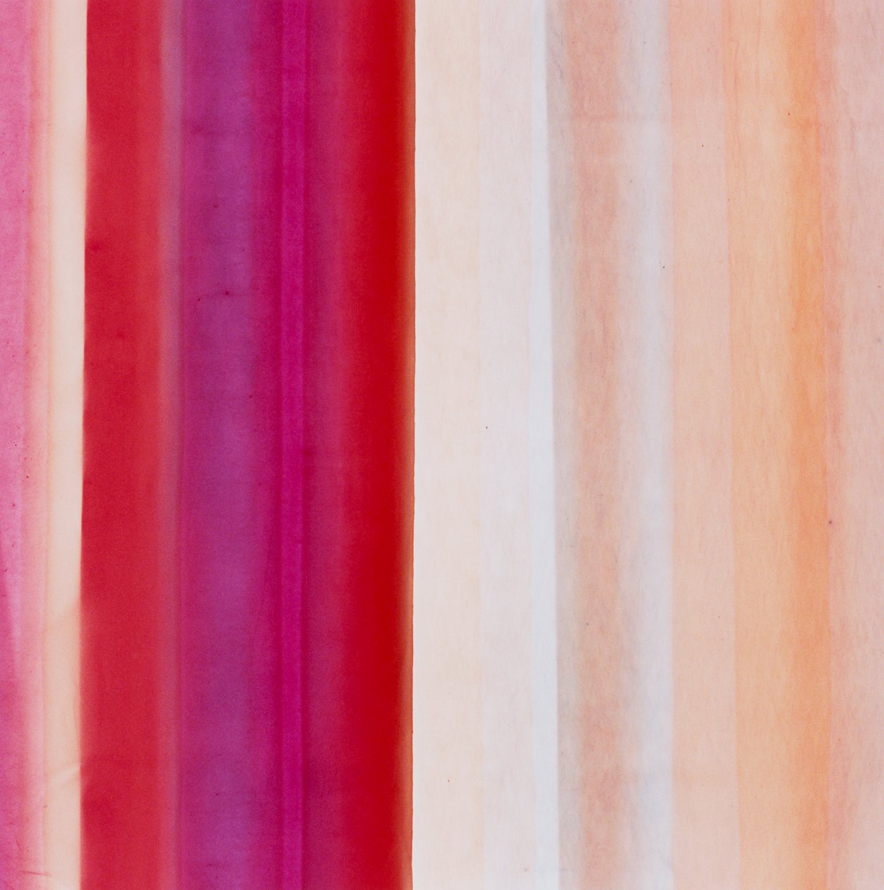 Streep IX, 2005 door Richard Green