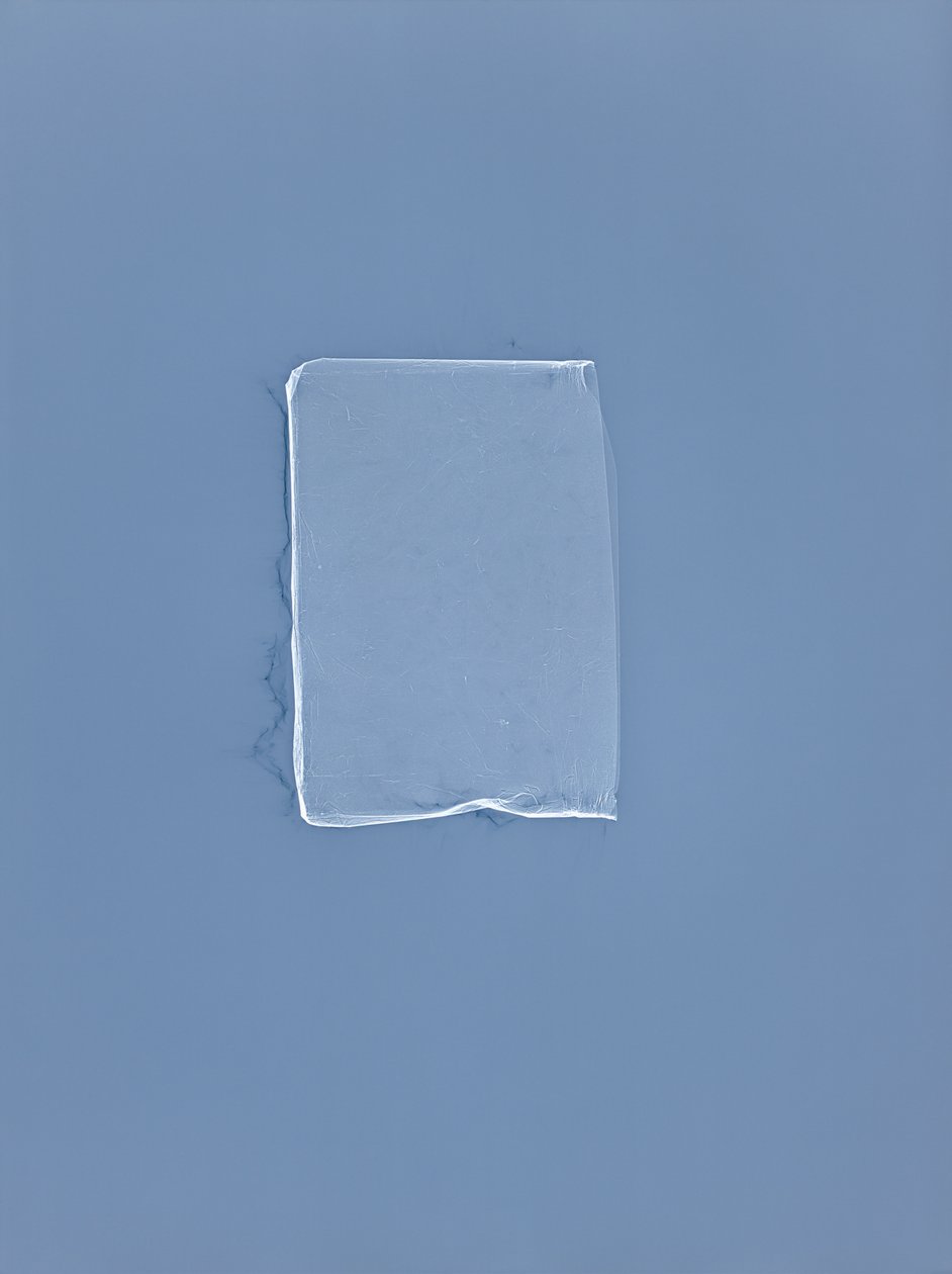 Zonder Titel, 2001 door Richard Green