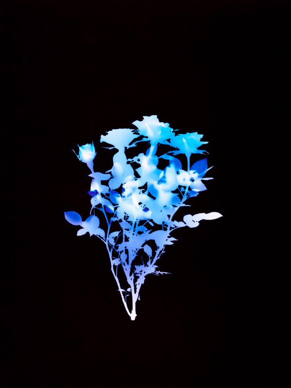 Zonder Titel, 2008 door Richard Green