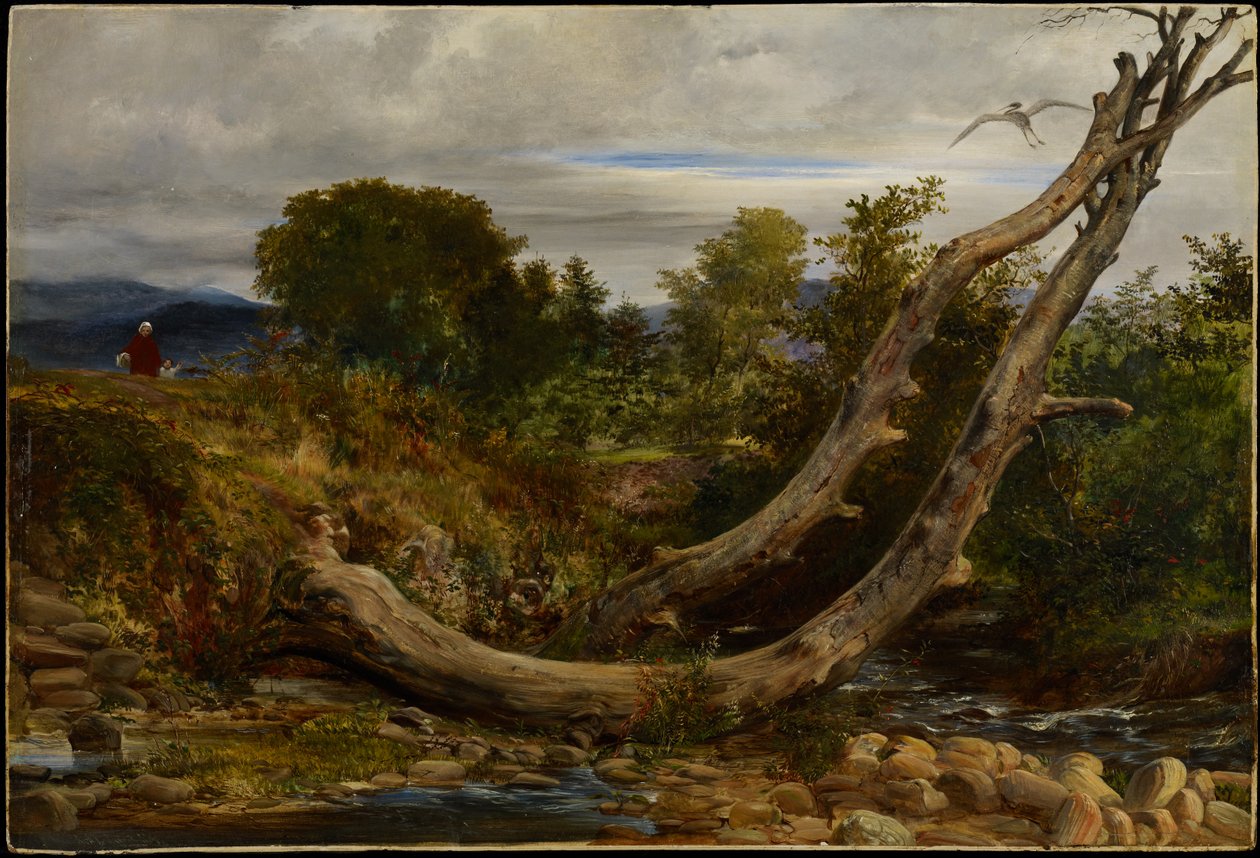 De verstoorde reiger, c.1850 door Richard Redgrave