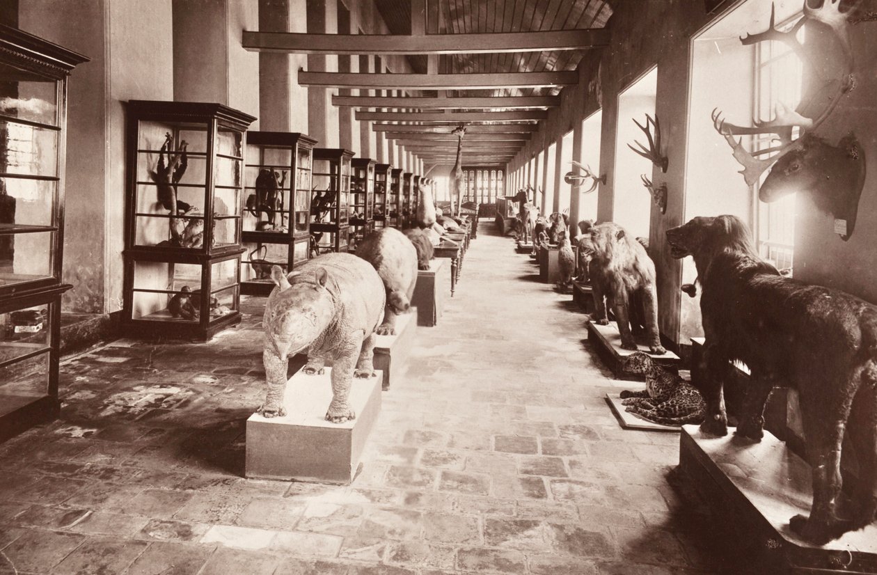 Het Nationaal Museum in Bangkok, c.1890 door Robert Lenz
