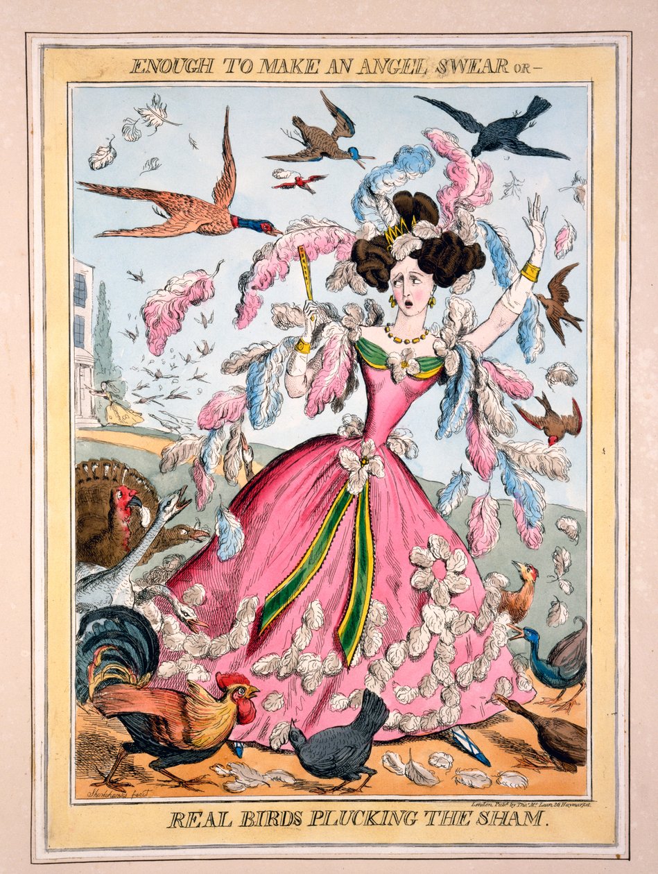 Genoeg om een engel te laten vloeken, of, echte vogels plukken de neppe, c.1830s door Robert Seymour