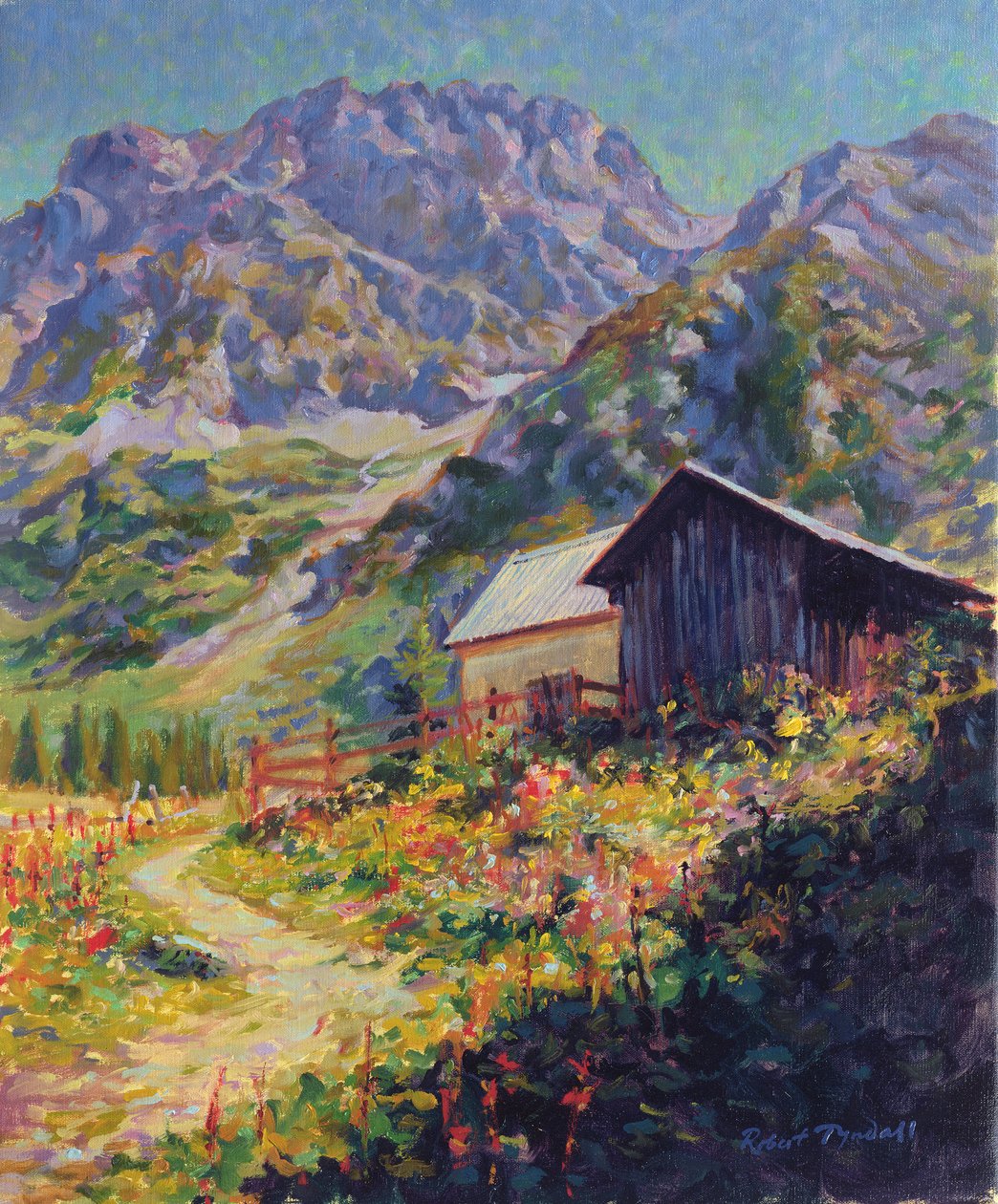 Haute Alpes, Frankrijk door Robert Tyndall