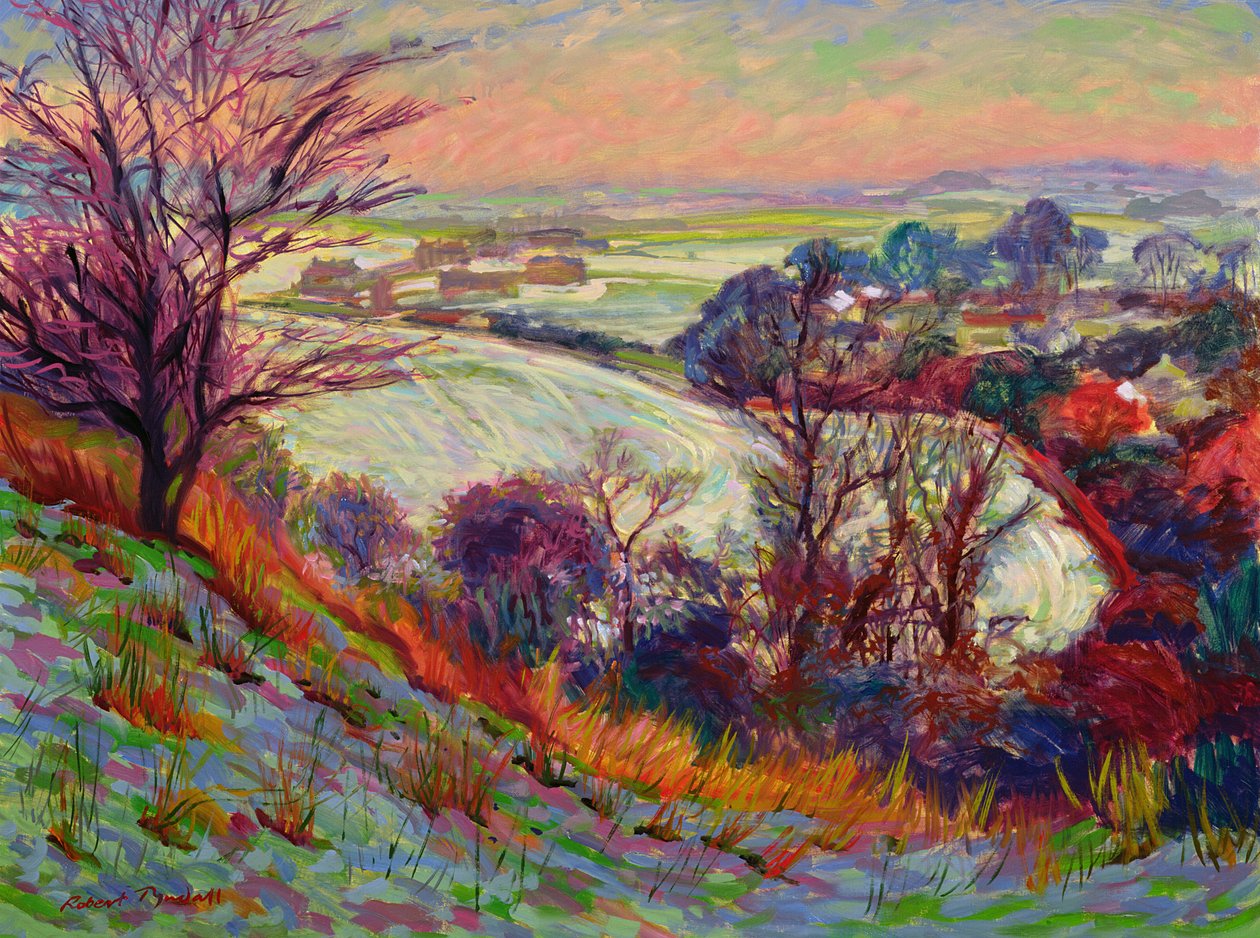 De Downs in de Winter door Robert Tyndall